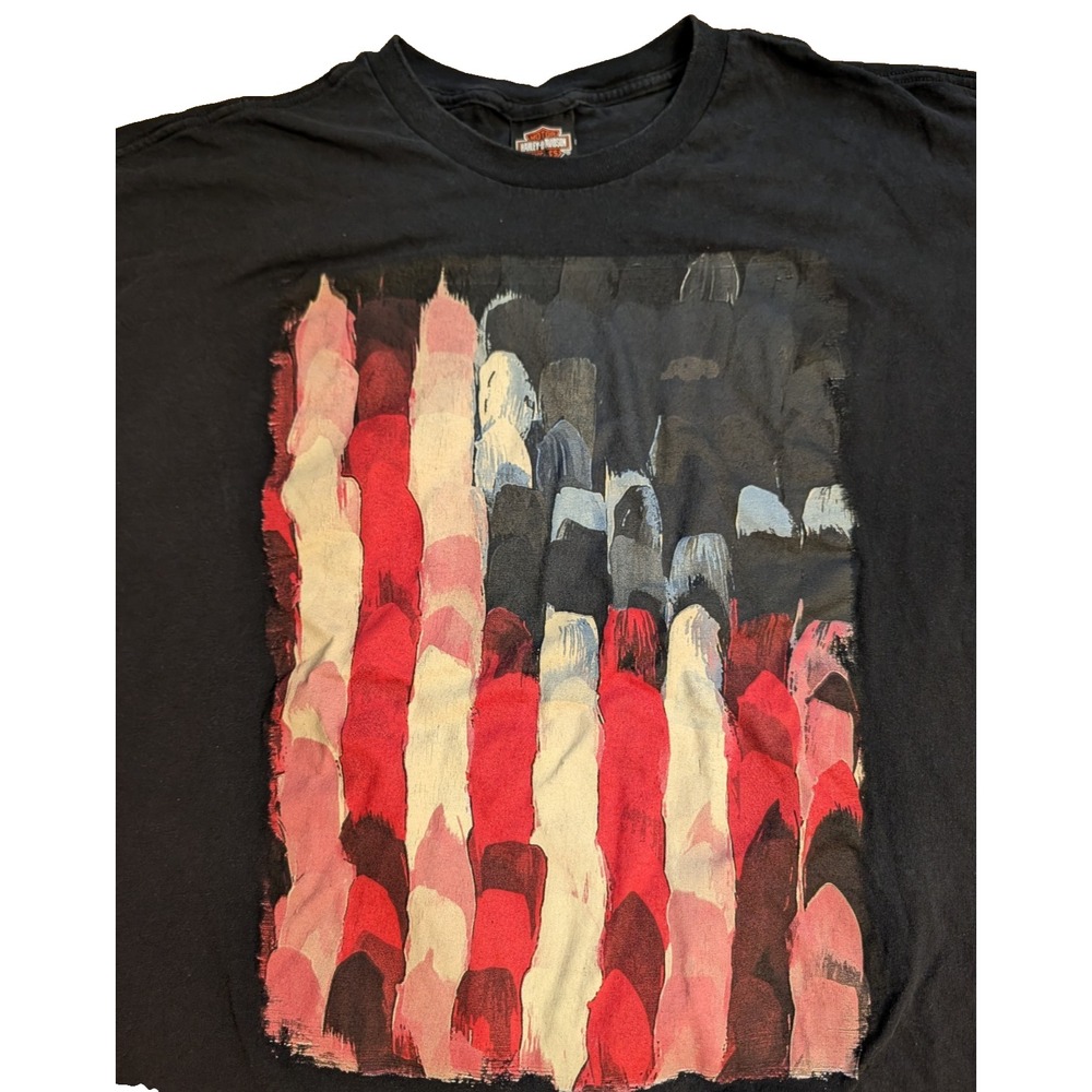 Harley-Davidson T-Shirt Men's 3XL Black Painted American Flag Graphic Biker USA